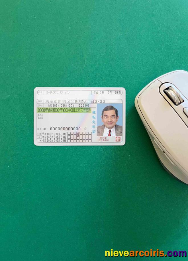 Japan driving license photolook